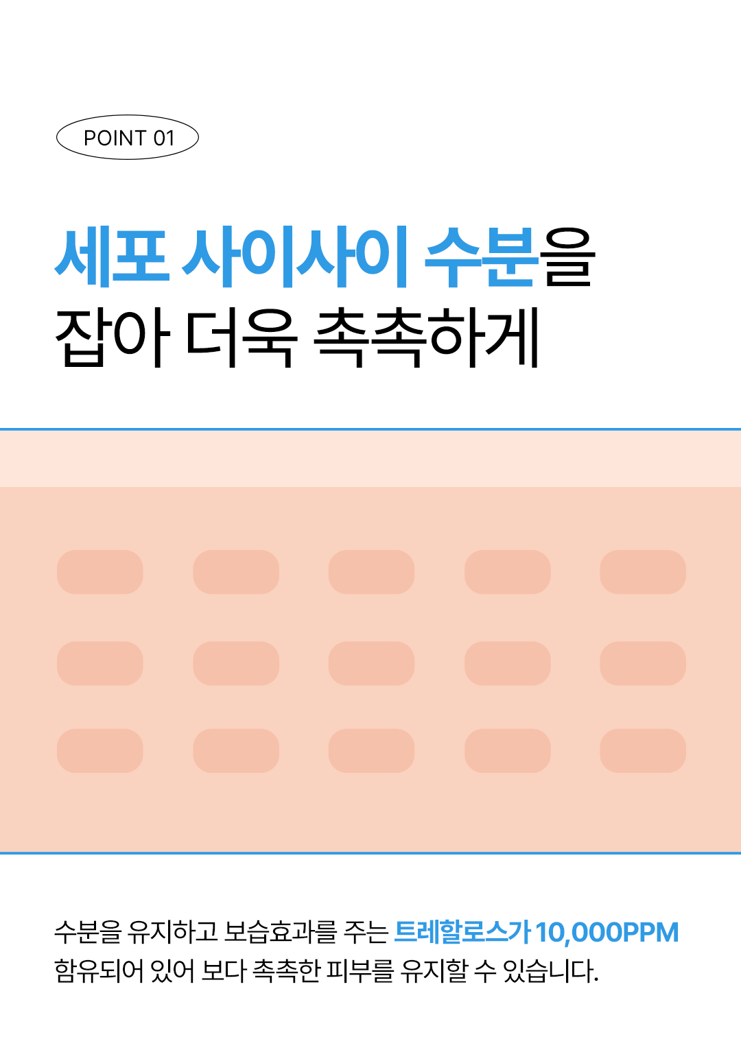 [PamsIBC] 3X PDRN Enhance Cream